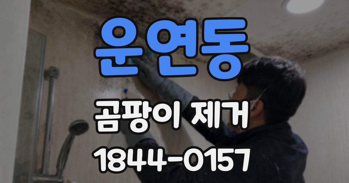 운연동 곰팡이 제거
