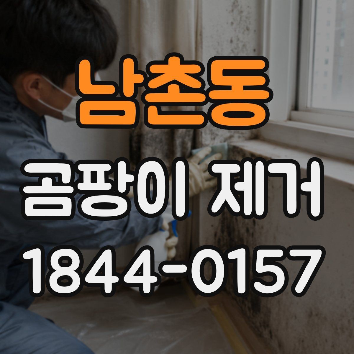 남촌동 곰팡이 제거 벽지와 마감재별 대처 차이