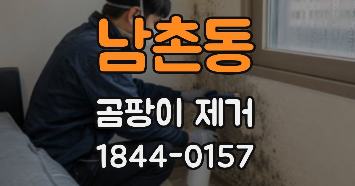 남촌동 곰팡이 제거