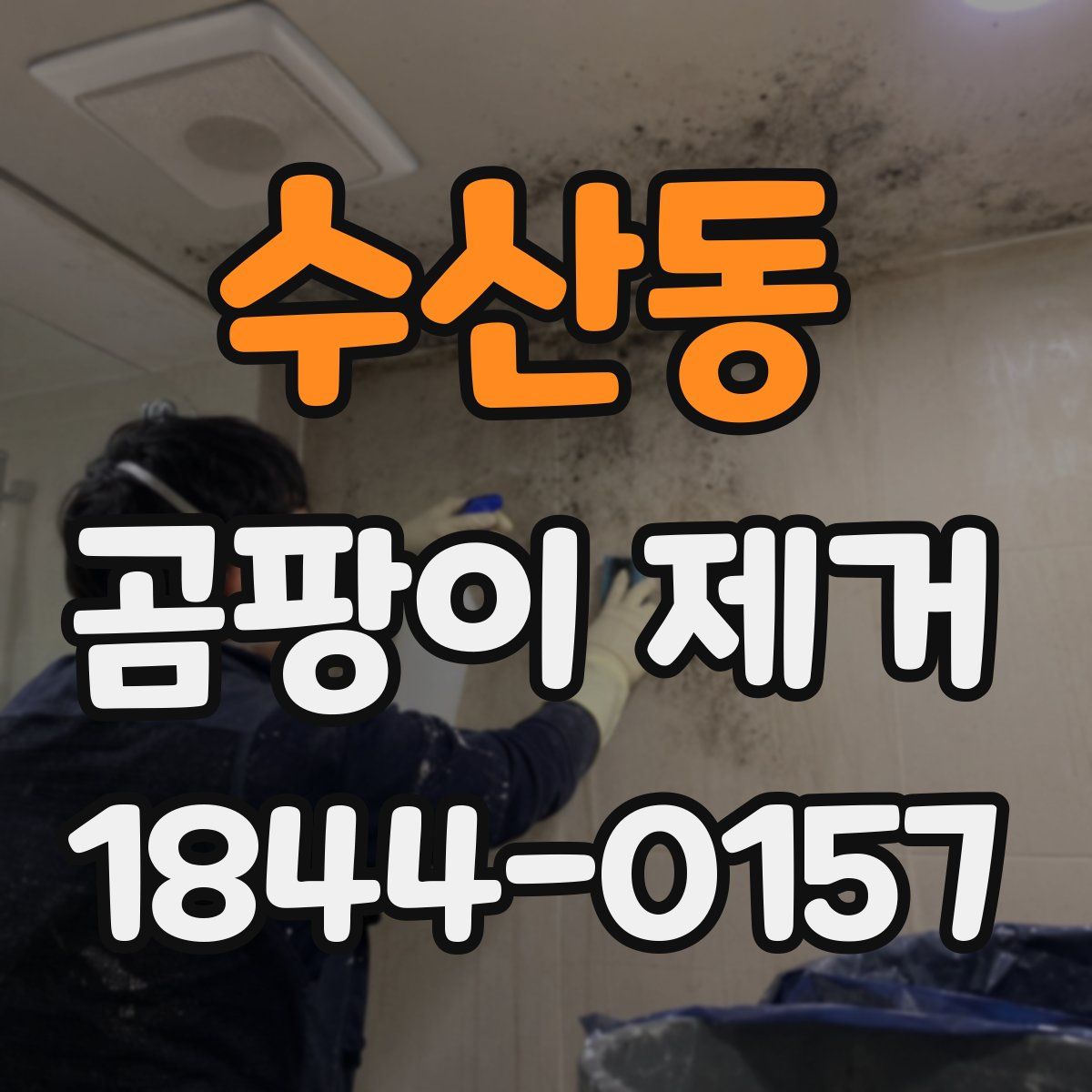 수산동 곰팡이 제거