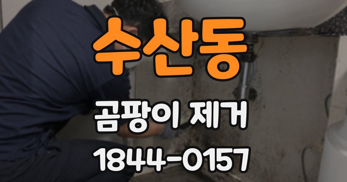 수산동 곰팡이 제거