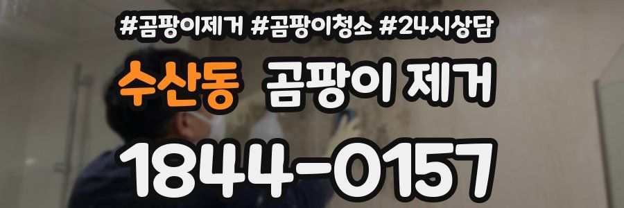 수산동 곰팡이 제거