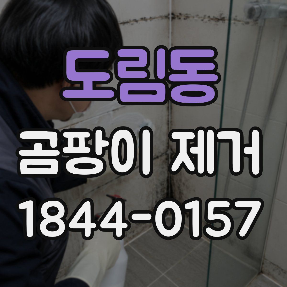 도림동 곰팡이 제거
