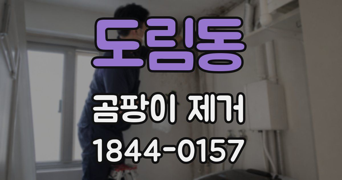 도림동 곰팡이 제거