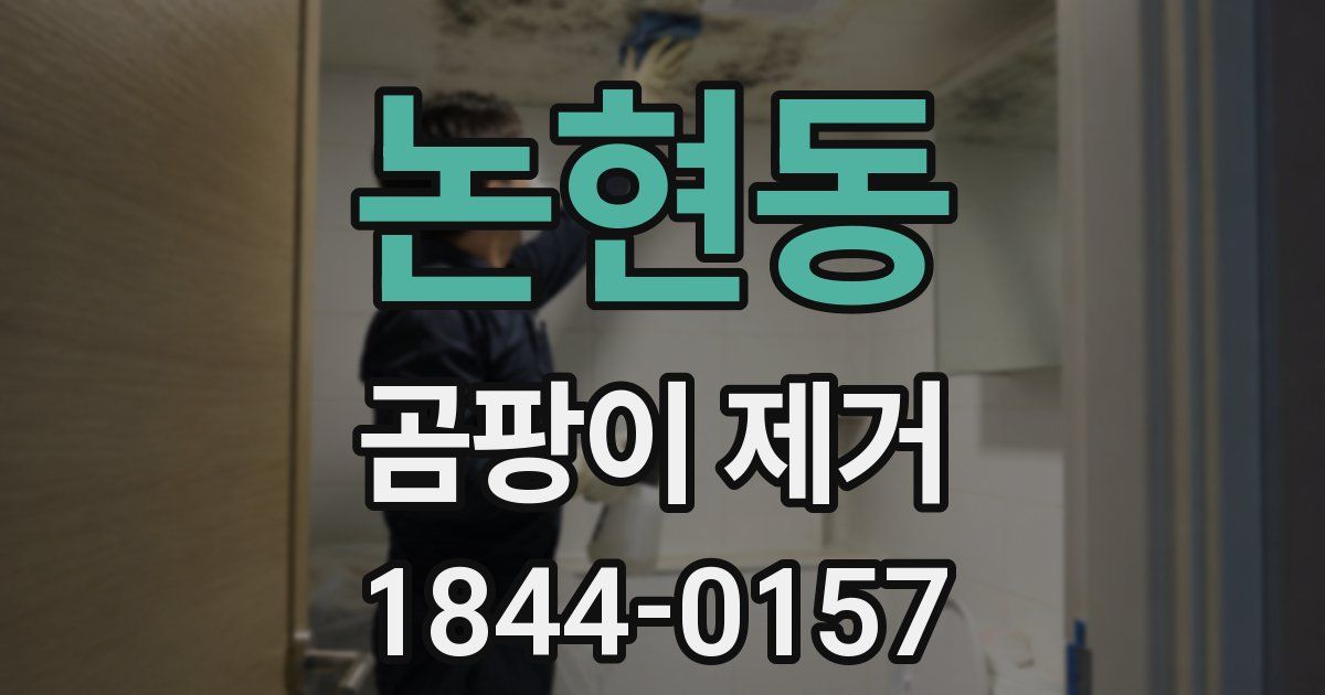 논현동 곰팡이 제거