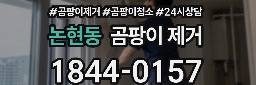 논현동 곰팡이 제거