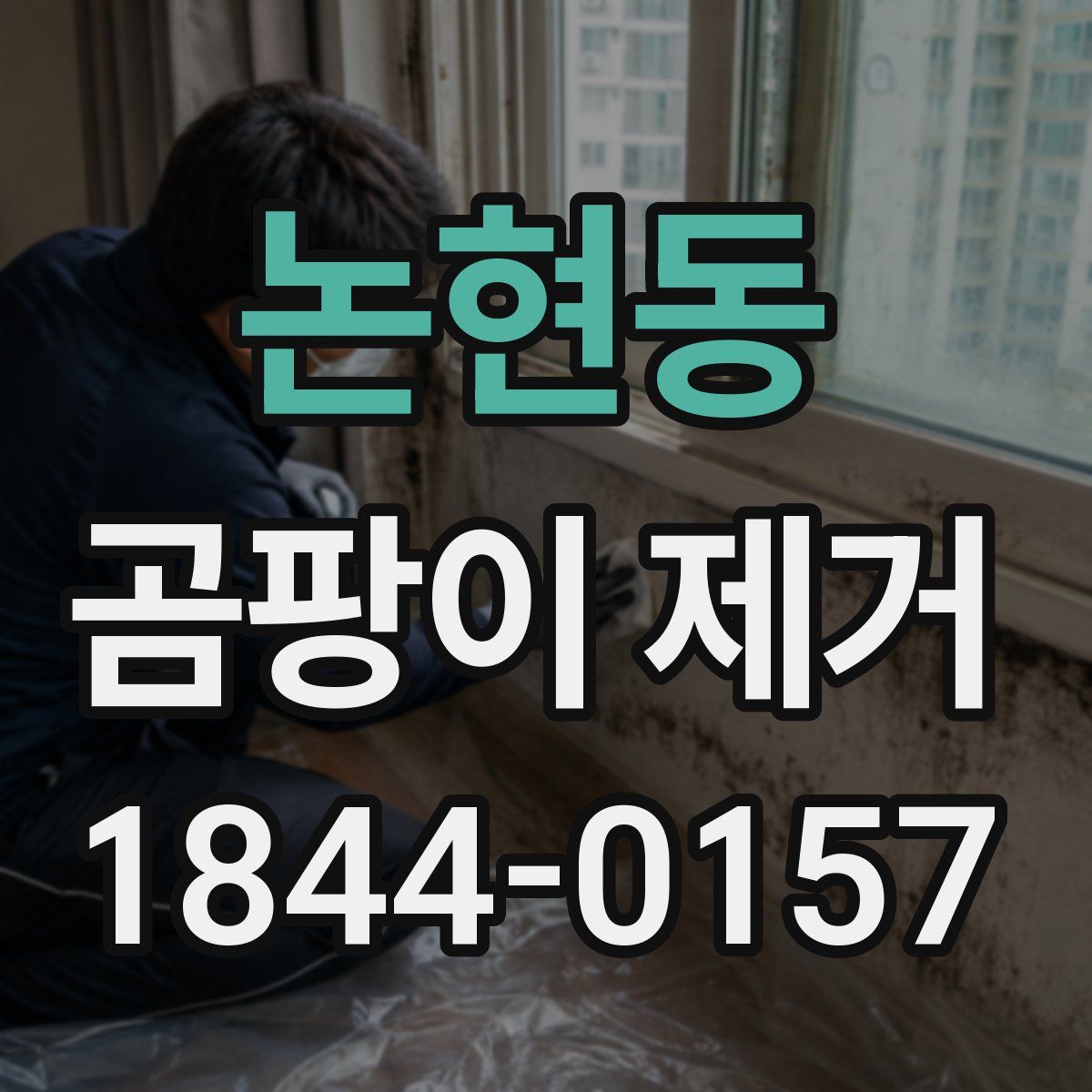 논현동 곰팡이 제거