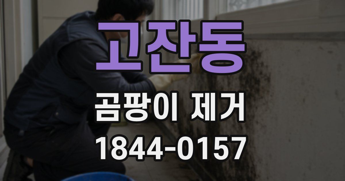 고잔동 곰팡이 제거