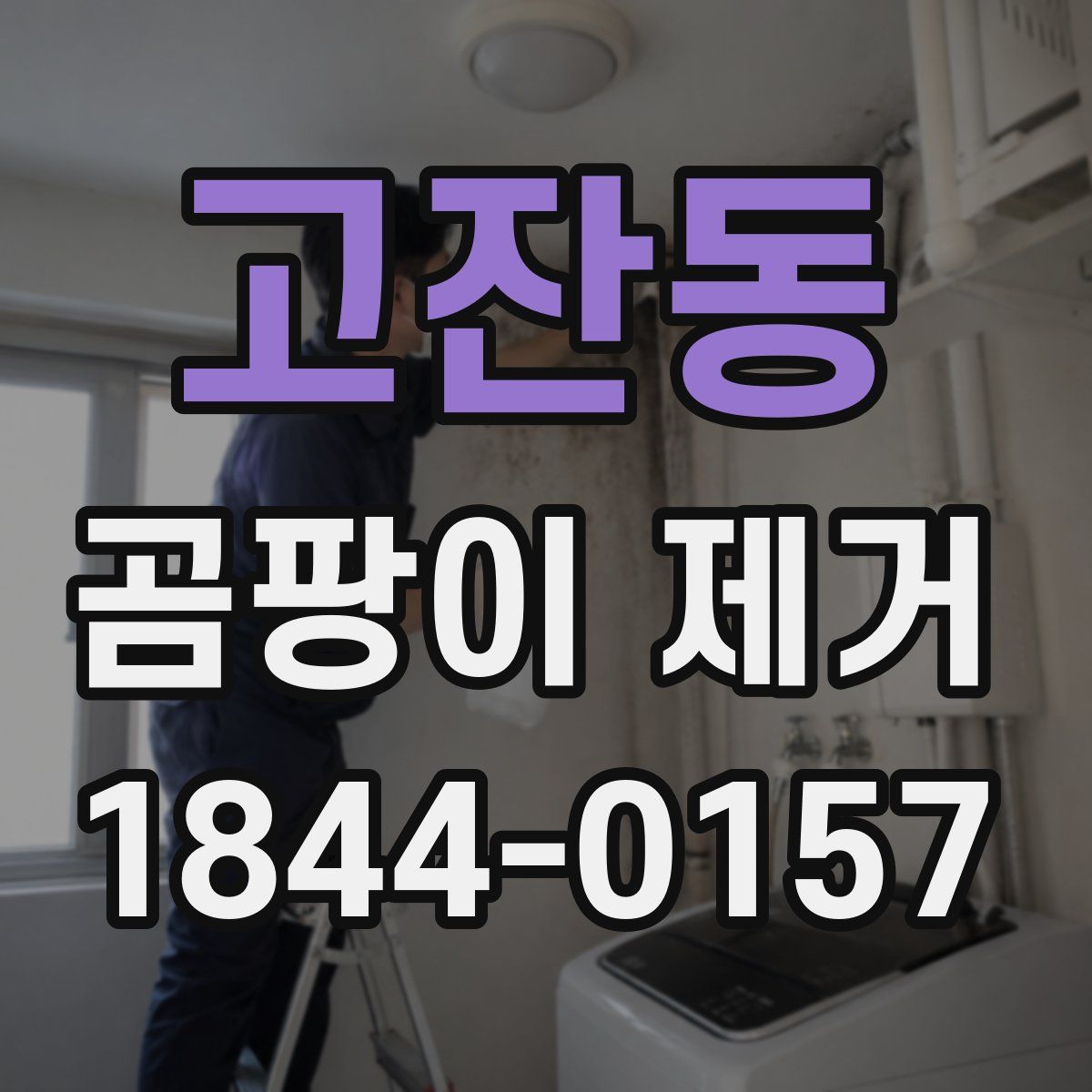 고잔동 곰팡이 제거