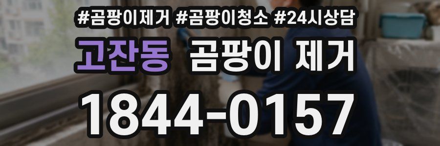 고잔동 곰팡이 제거