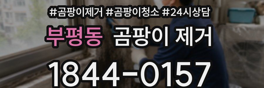 부평동 곰팡이 제거