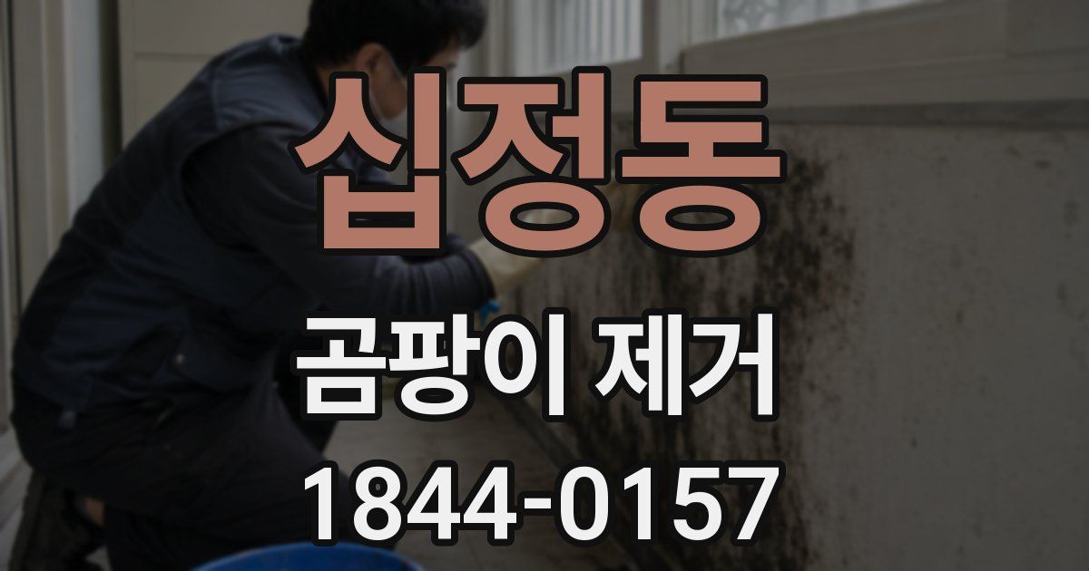 십정동 곰팡이 제거