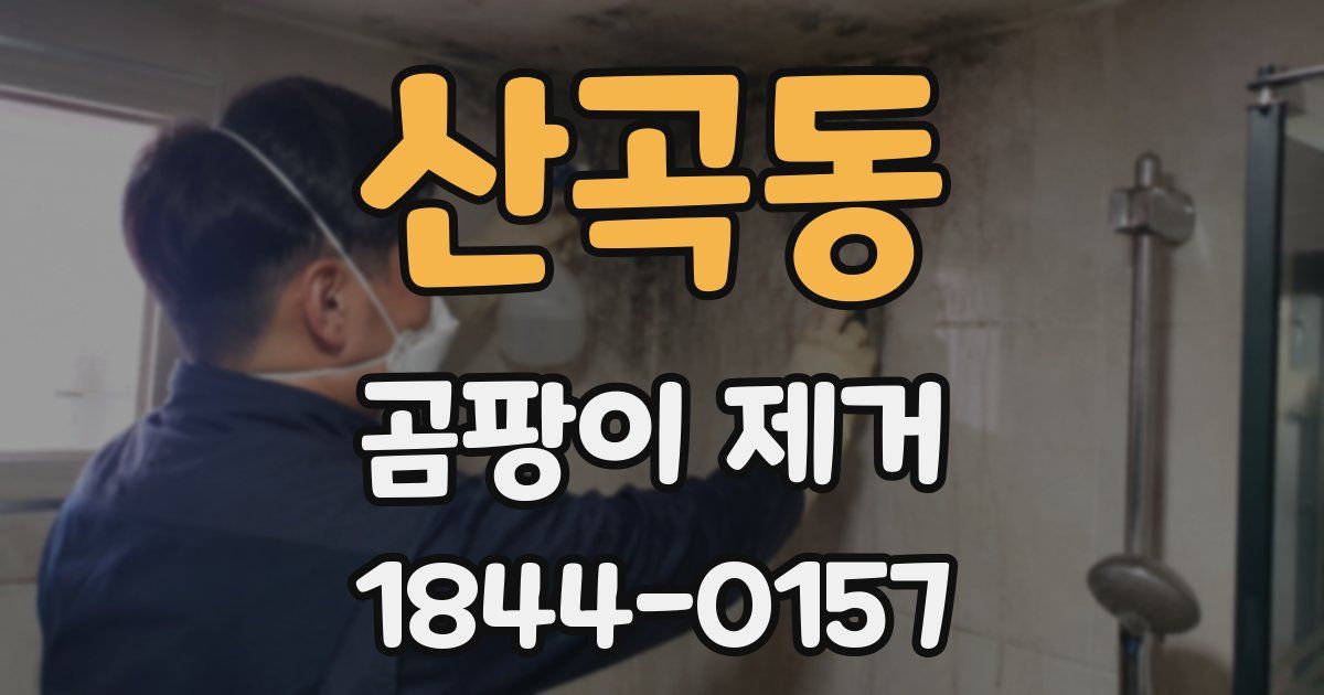 산곡동 곰팡이 제거