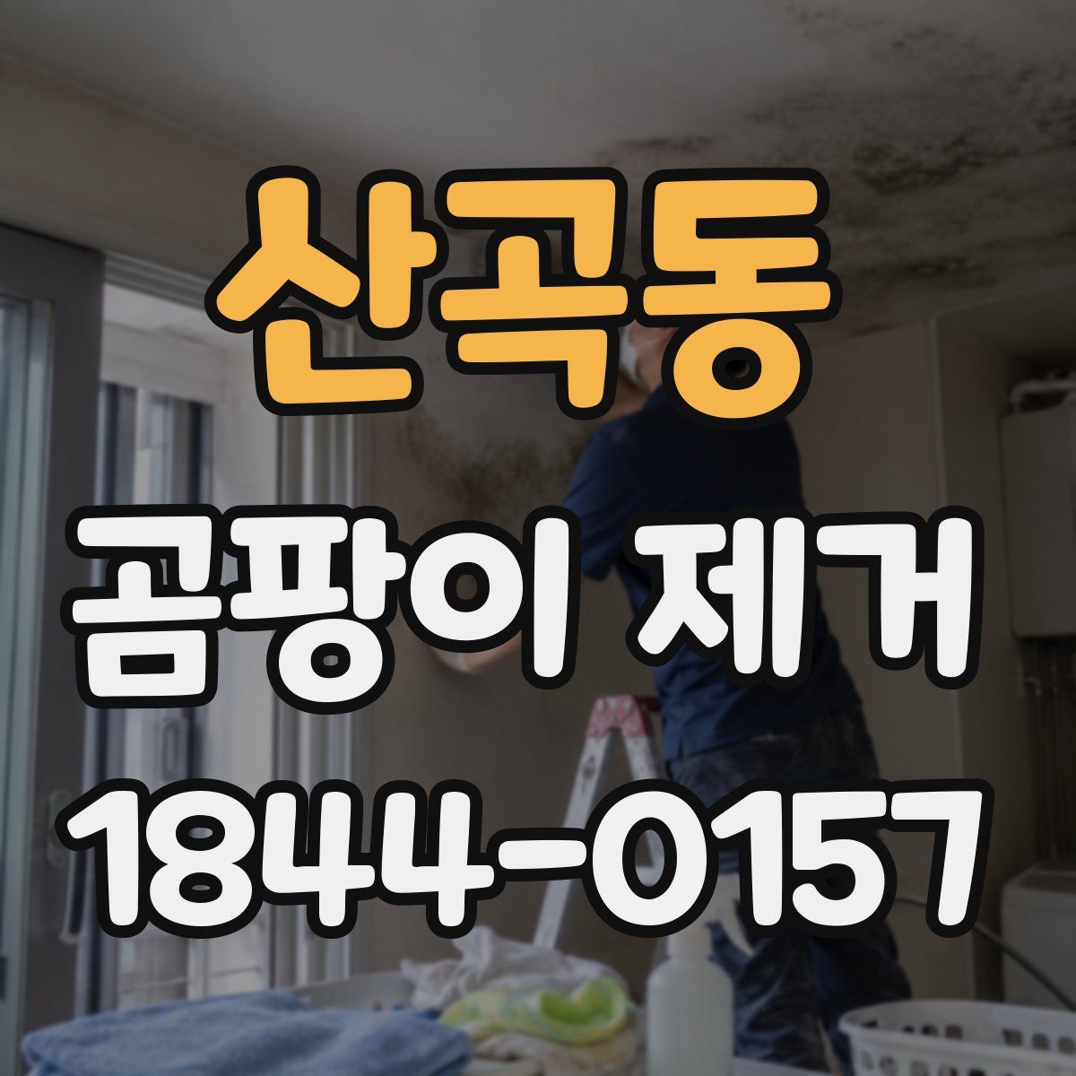 산곡동 곰팡이 제거