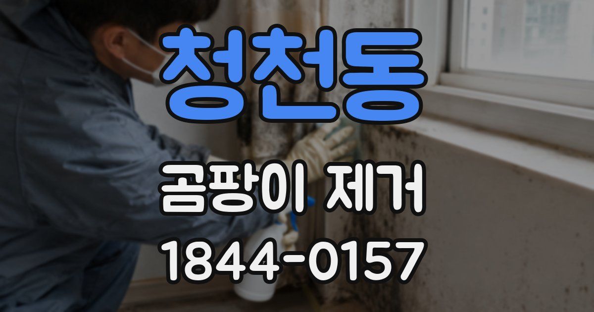 청천동 곰팡이 제거