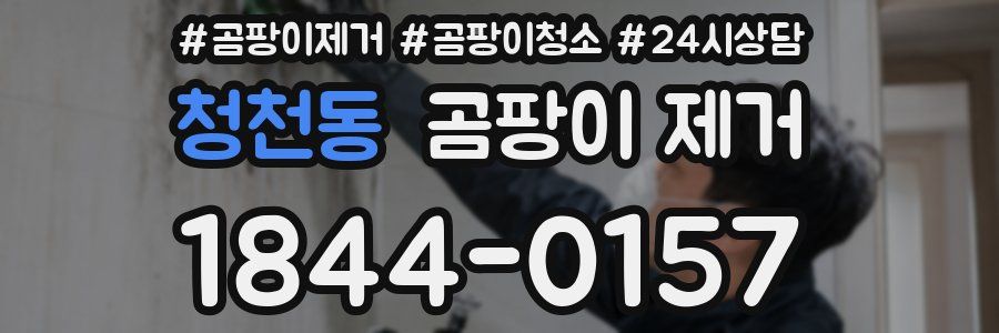 청천동 곰팡이 제거