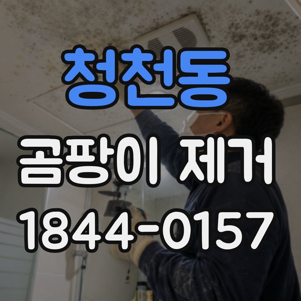 청천동 곰팡이 제거