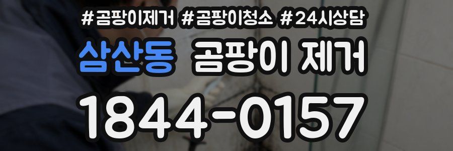 삼산동 곰팡이 제거