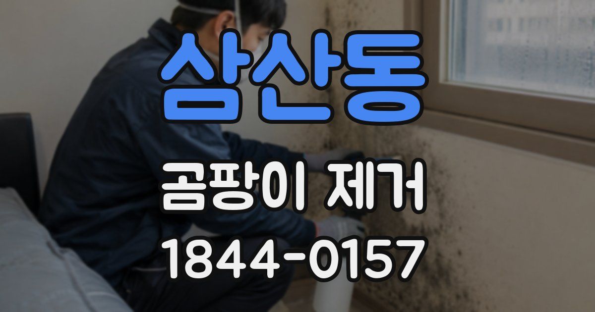 삼산동 곰팡이 제거