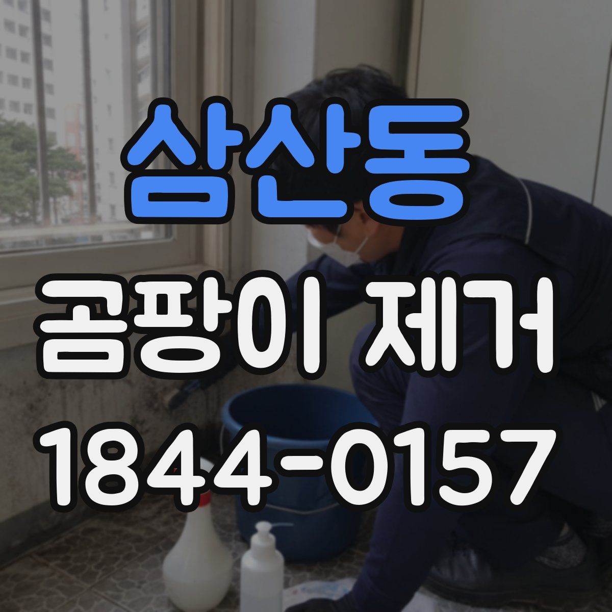 삼산동 곰팡이 제거