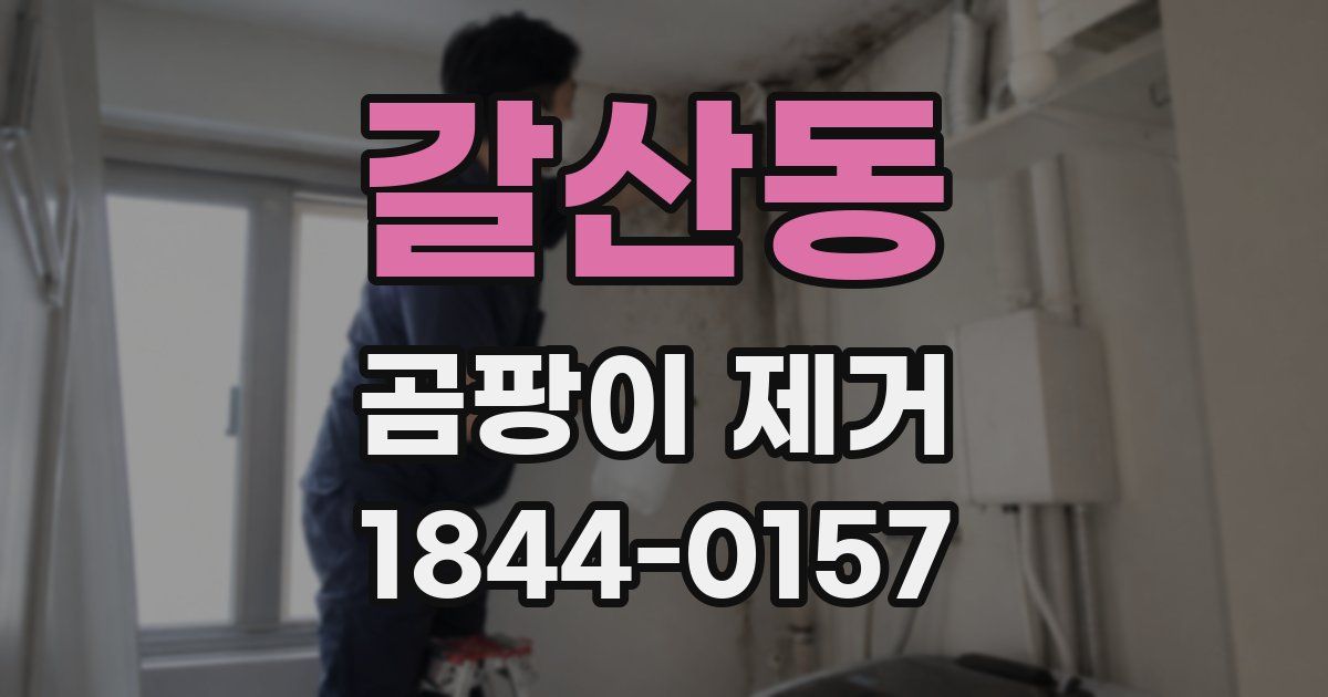 갈산동 곰팡이 제거