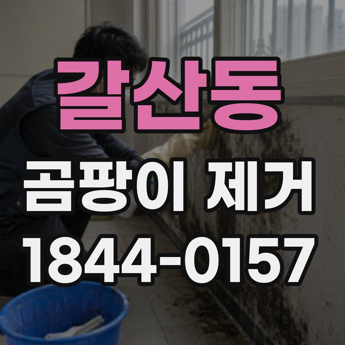 갈산동 곰팡이 제거