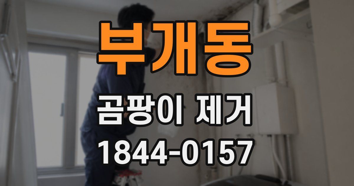 부개동 곰팡이 제거