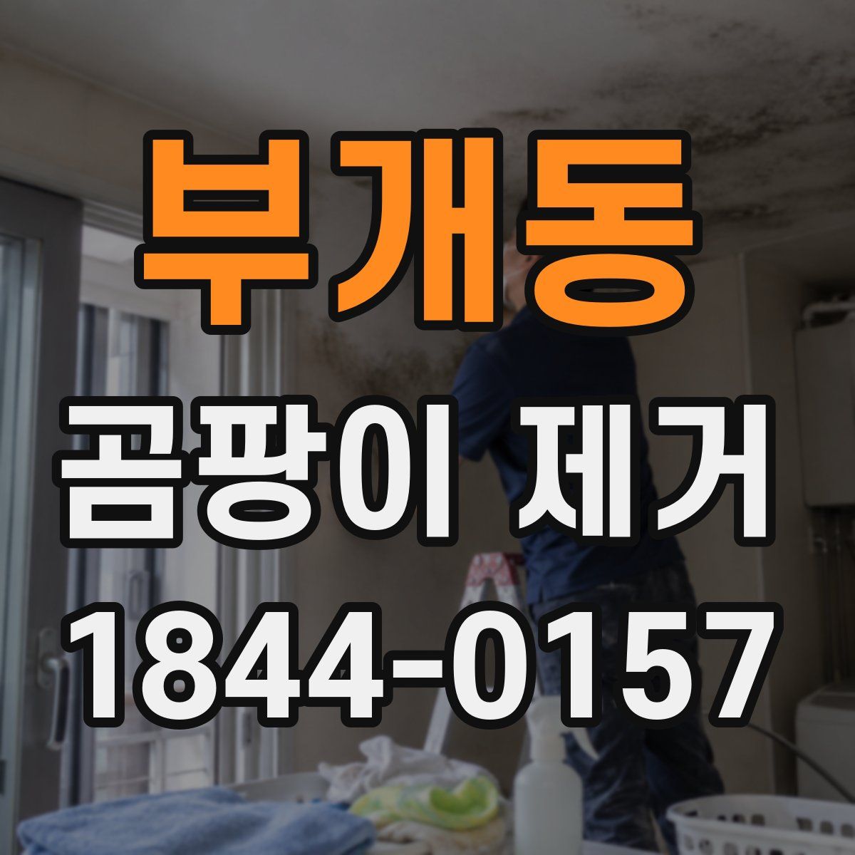 부개동 곰팡이 제거