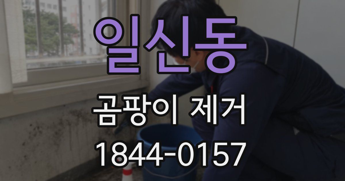 일신동 곰팡이 제거