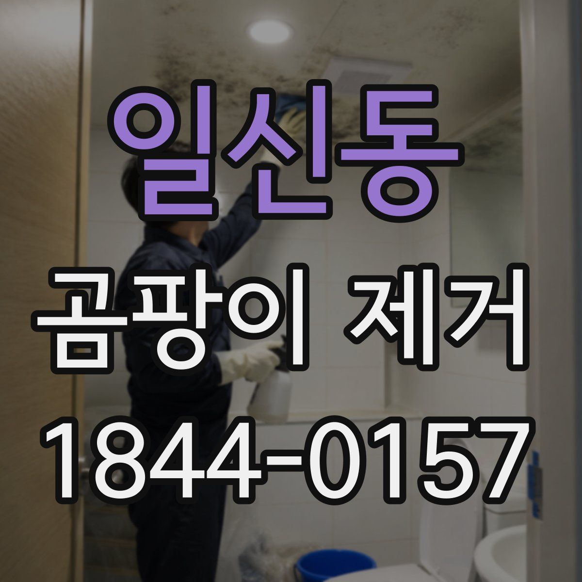 일신동 곰팡이 제거