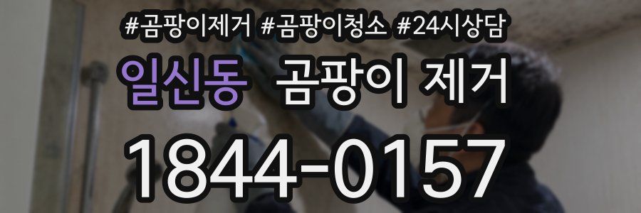 일신동 곰팡이 제거