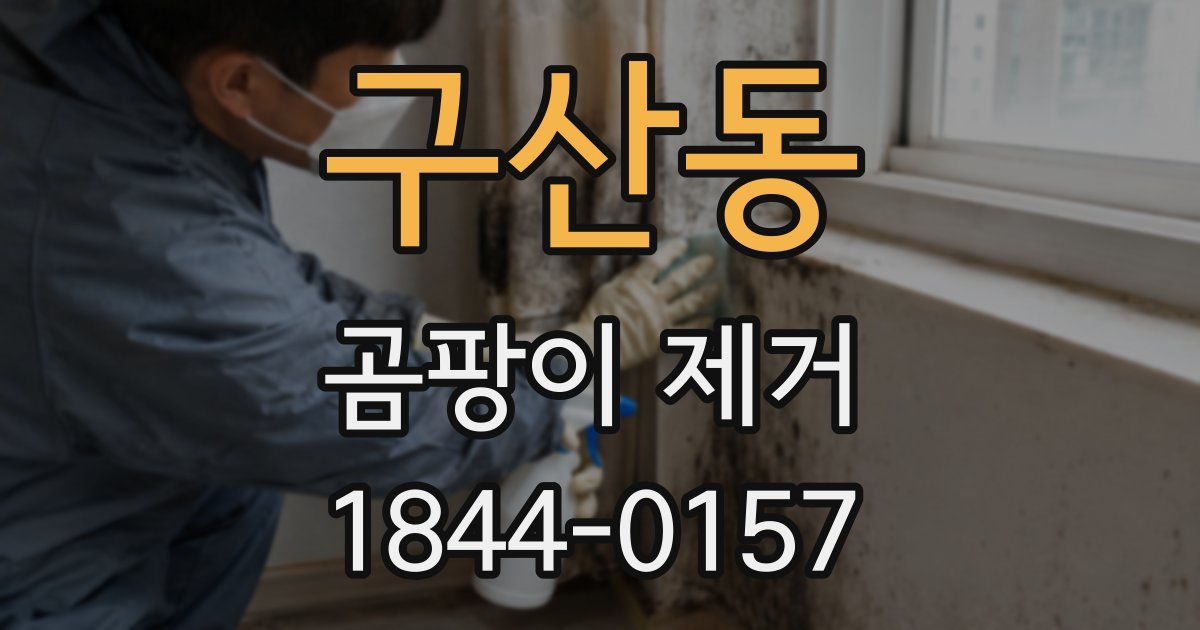 구산동 곰팡이 제거