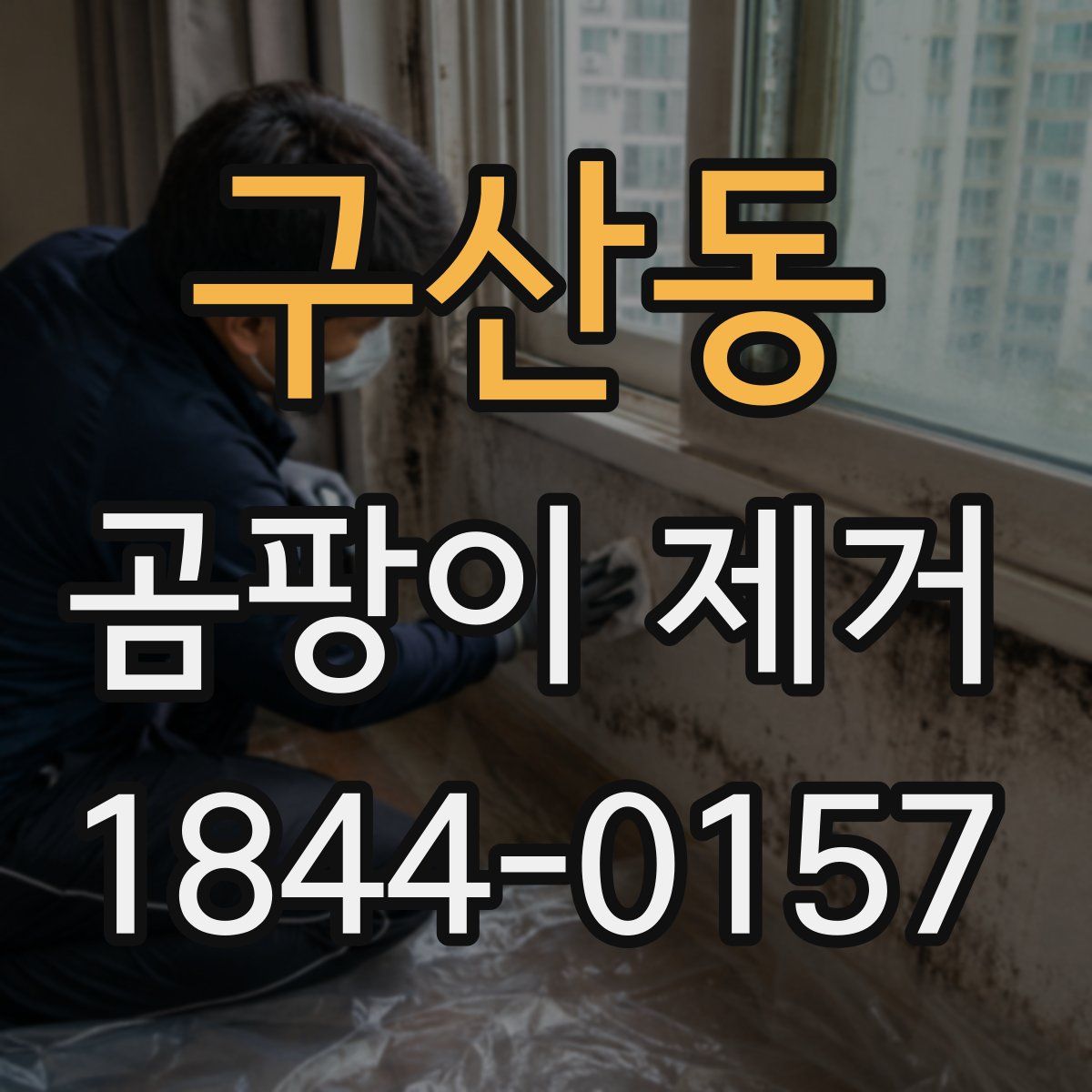 구산동 곰팡이 제거