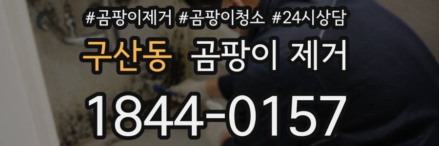 구산동 곰팡이 제거