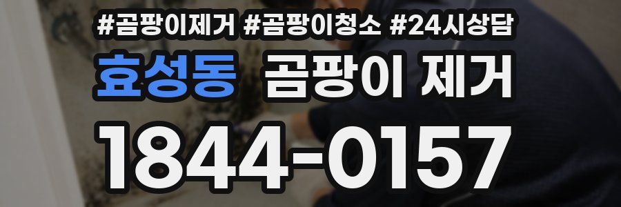 효성동 곰팡이 제거