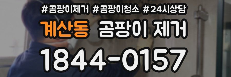 계산동 곰팡이 제거