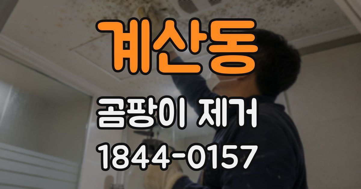 계산동 곰팡이 제거