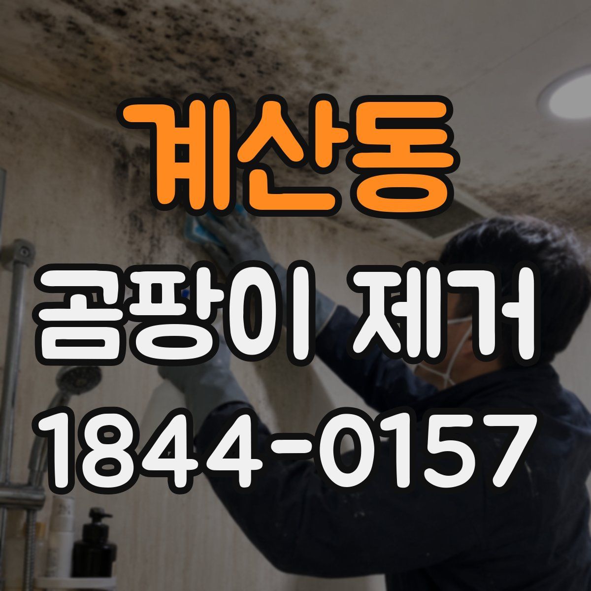 계산동 곰팡이 제거