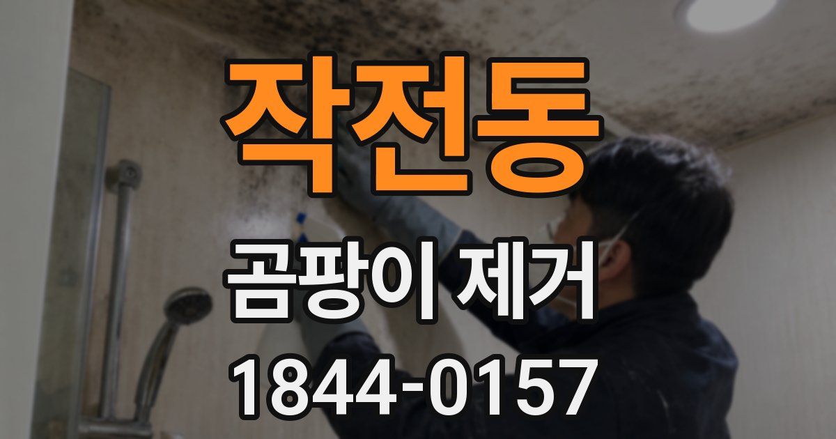 작전동 곰팡이 제거