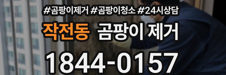 작전동 곰팡이 제거
