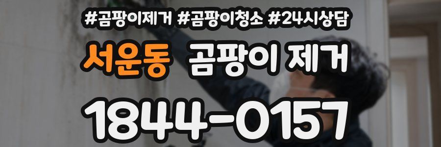 서운동 곰팡이 제거