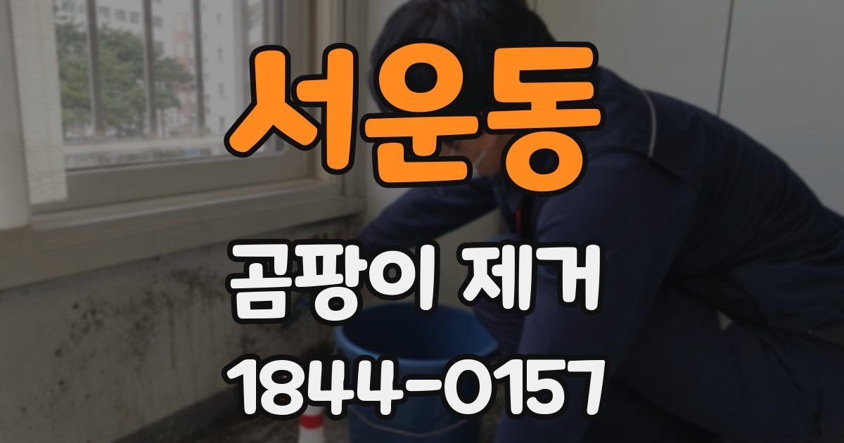 서운동 곰팡이 제거