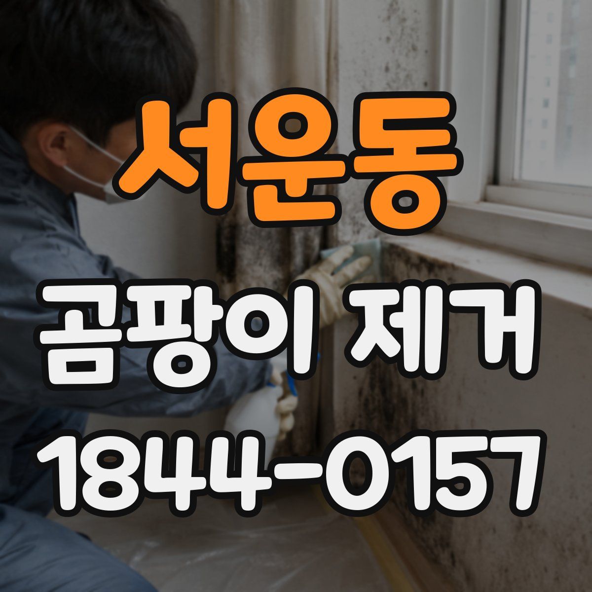 서운동 곰팡이 제거