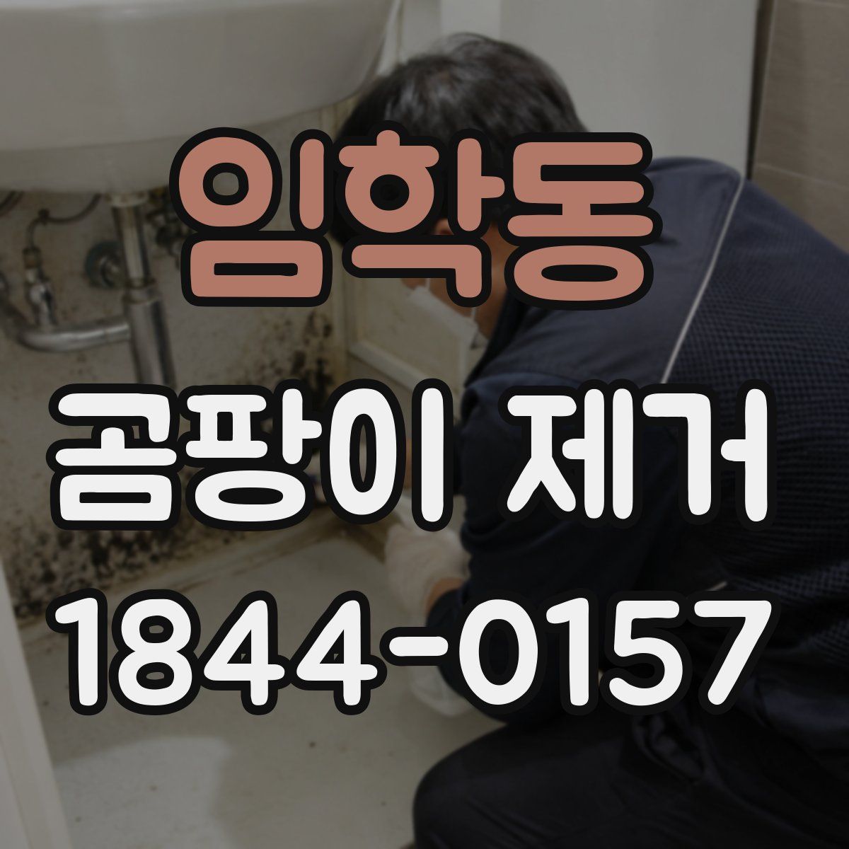 임학동 곰팡이 제거