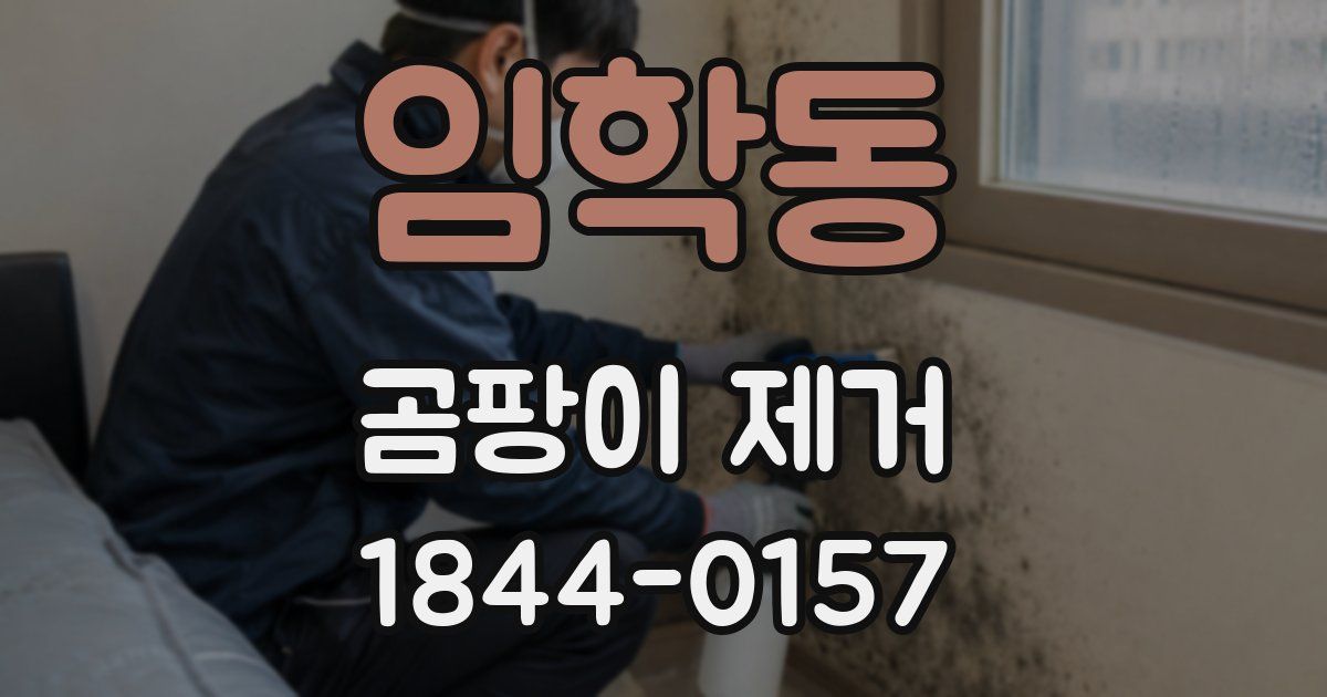 임학동 곰팡이 제거