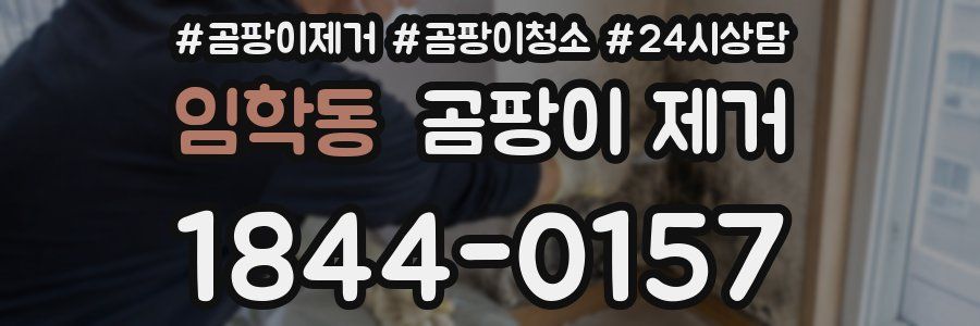 임학동 곰팡이 제거