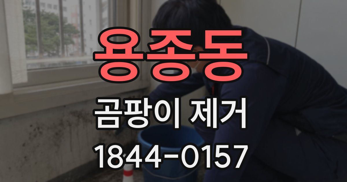 용종동 곰팡이 제거