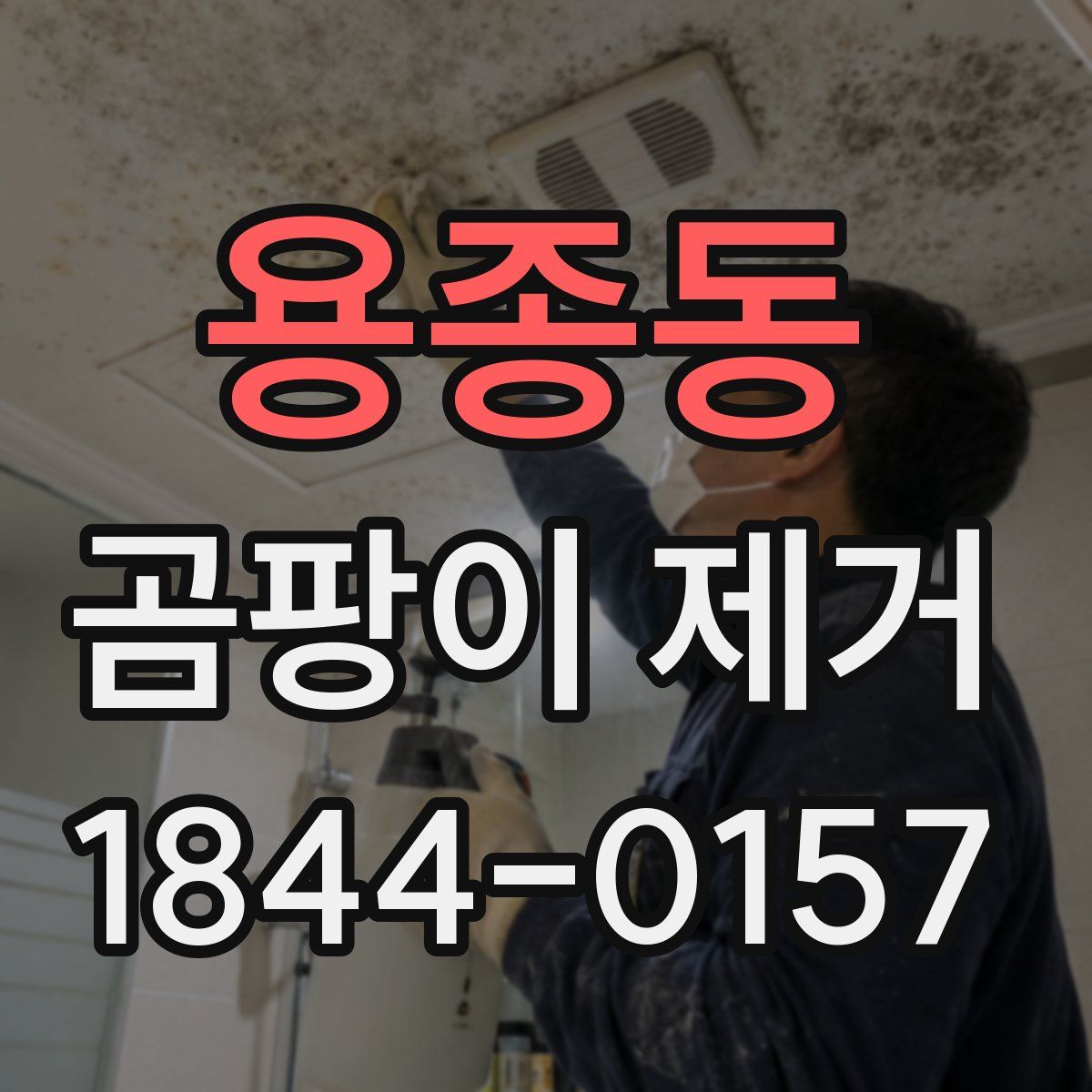용종동 곰팡이 제거