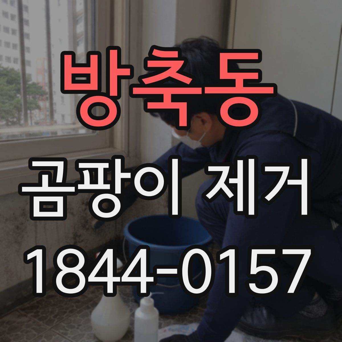 방축동 곰팡이 제거