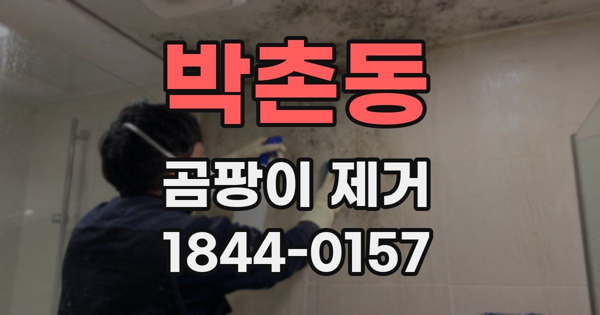 박촌동 곰팡이 제거